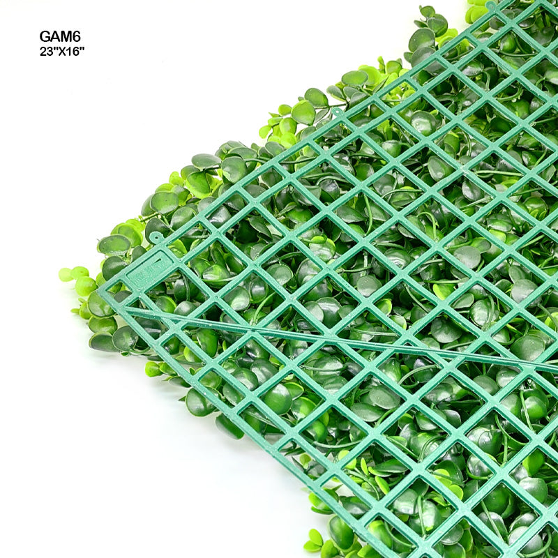 GAM6