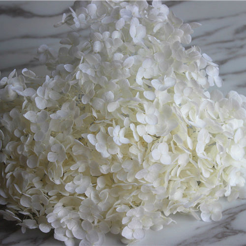 White Dried Flower Box 10gsm | DIY Crafts, Resin & Decor l Pack of 1