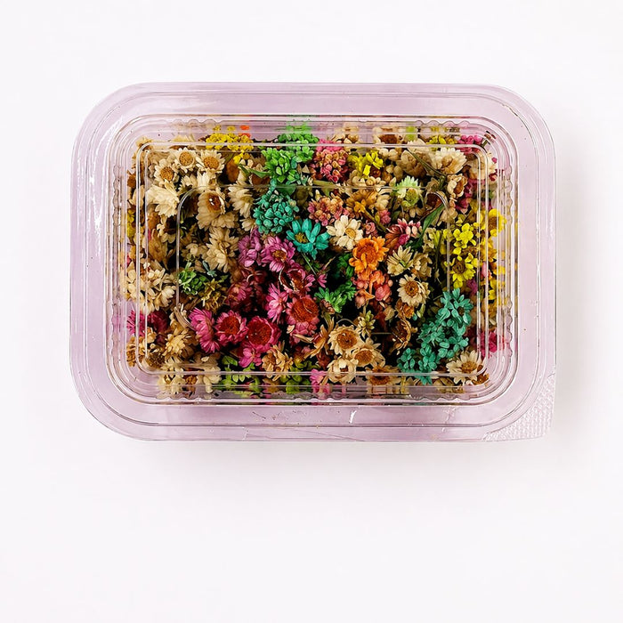 Colorful Dried Daisy Pack – Aesthetic Craft & Resin Decoration Kit | Pack of 1
