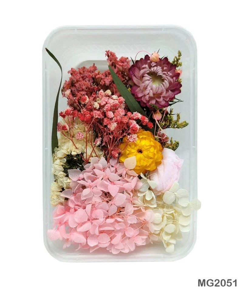 Dried Flower for Resin Dry Flower Box Pink Mg-205-1