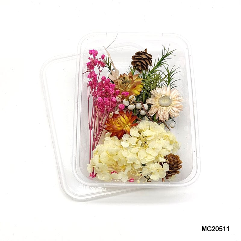 Dried Flower for Resin Dry Flower Box Mg-205-11