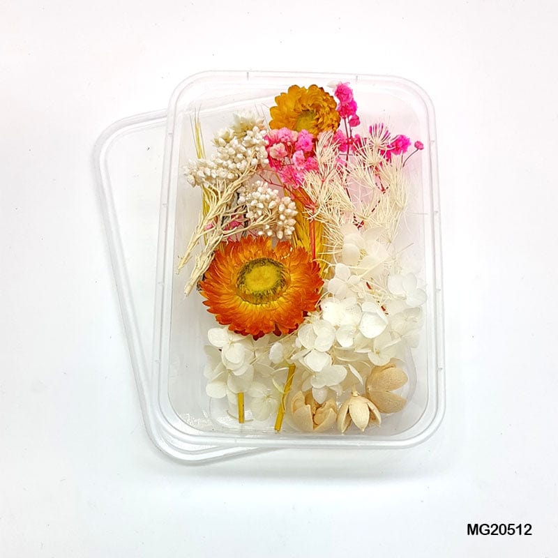 Dried Flower for Resin Dry Flower Box Mg-205-12