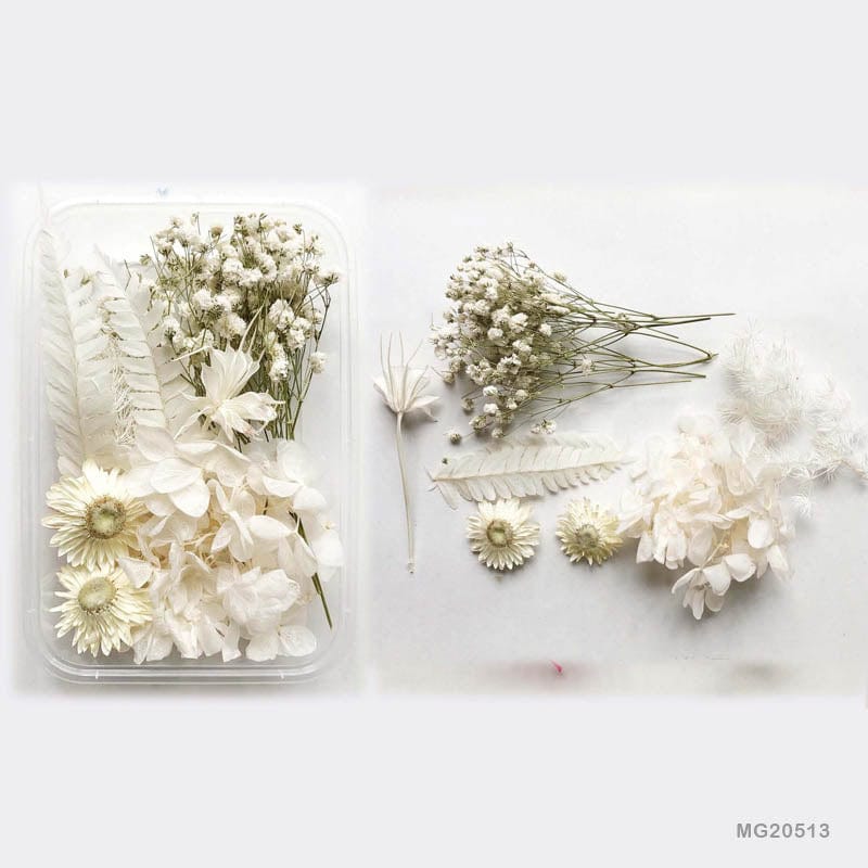 Dried Flower for Resin Dry Flower Box Mg-205-13