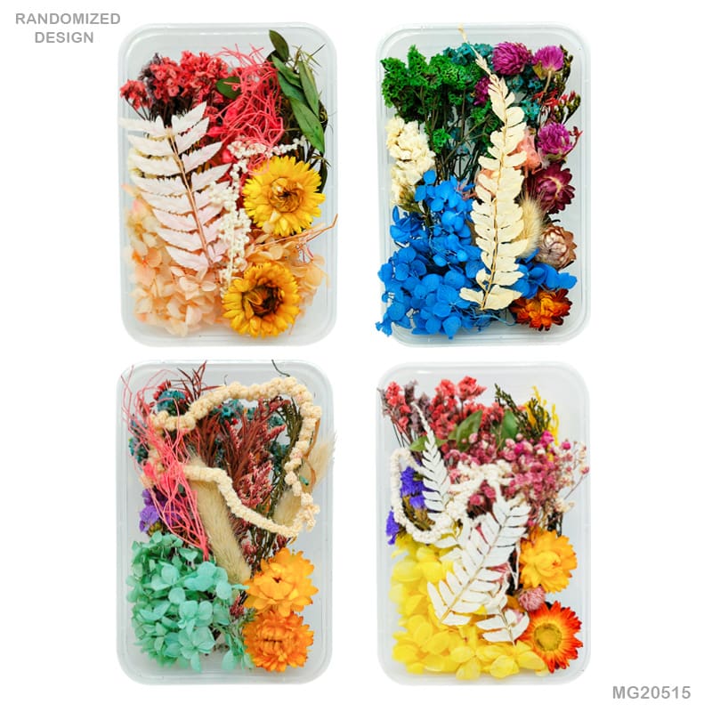 Dried Flower for Resin Dry Flower Box Mg-205-15