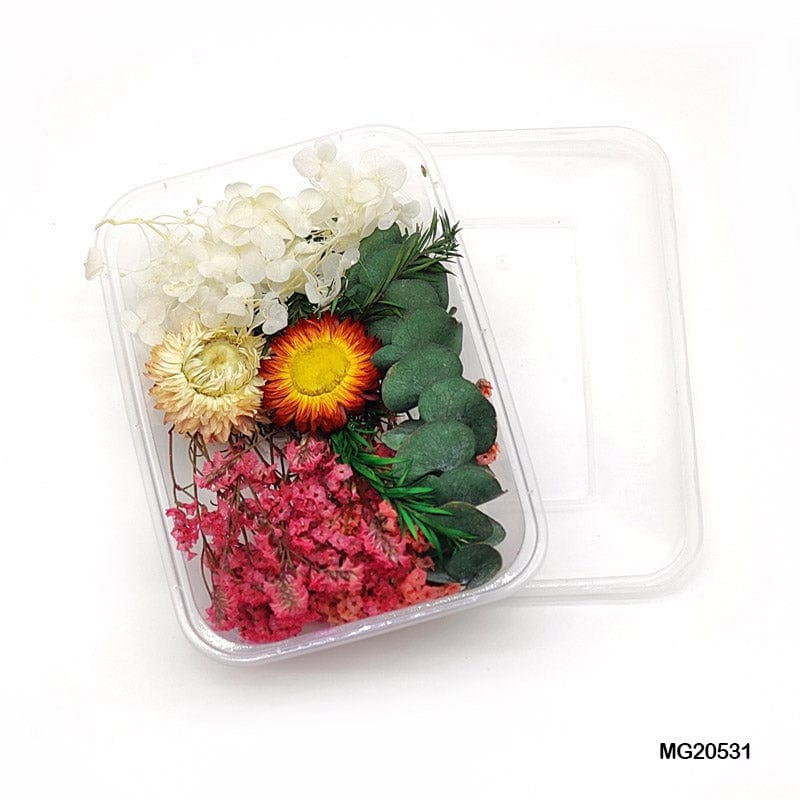 Dried Flower for Resin Dry Flower Box Mg205-31