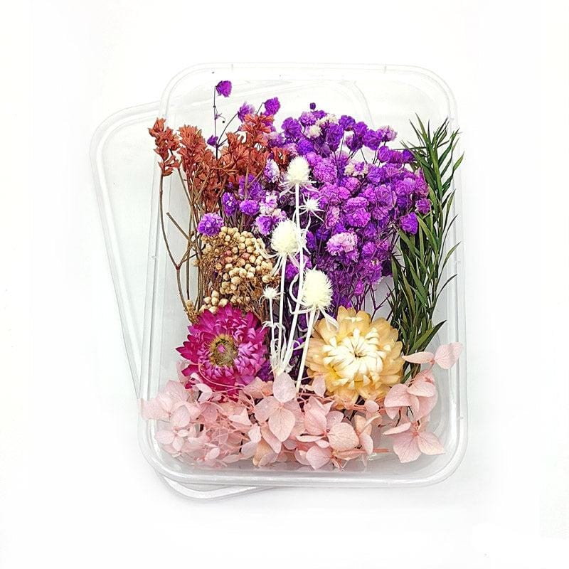 Dried Flower for Resin Dry Flower Box Mg205-36