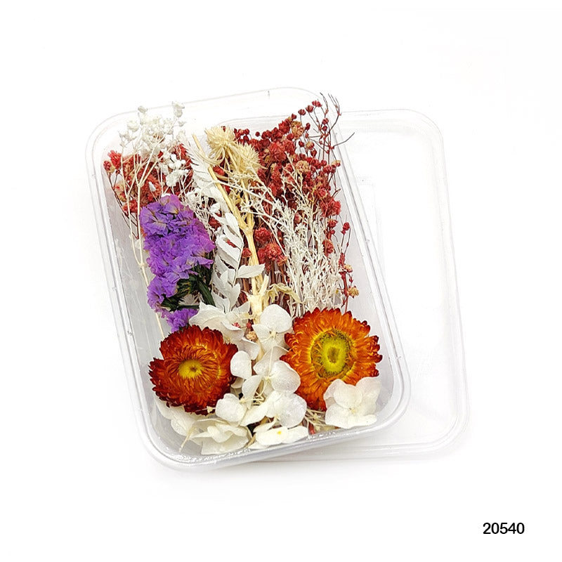 Dried Flower for Resin Dry Flower Box Mg205-40