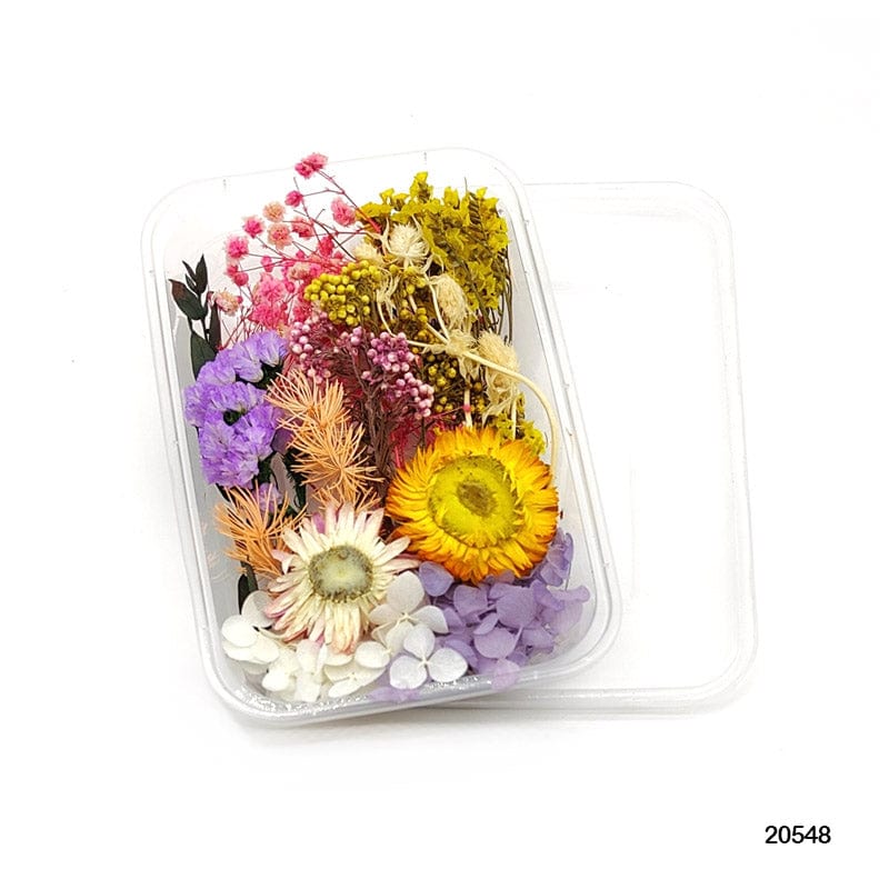 Dried Flower for Resin Dry Flower Box Mg205-48