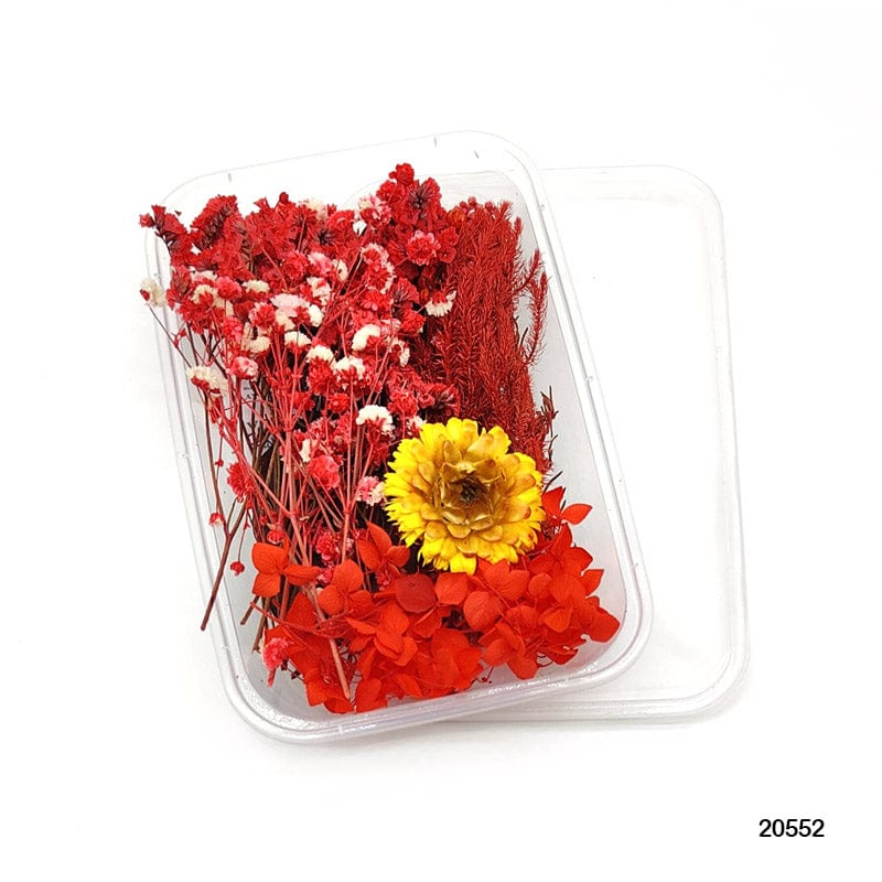 Dried Flower for Resin Dry Flower Box Mg205-52