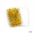 Dried Flower for Resin Dry Flower Box Mg205-54