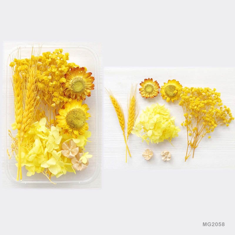 Dried Flower for Resin Dry Flower Box Mg-205-8