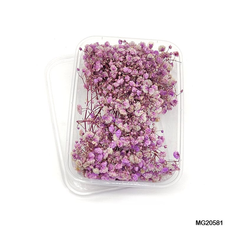 Dried Flower for Resin Dry Flower Box Mg205-81