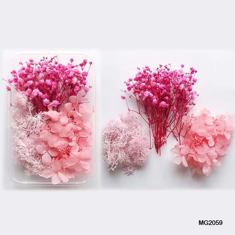 Dried Flower for Resin Dry Flower Box Mg-205-9