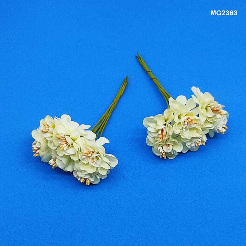 MG2363