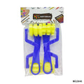 Sponge Brush Set with Blue Plastic Handle - 4 Pcs
