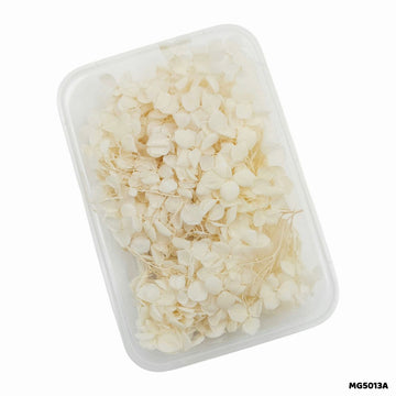 Dry Flowers Box for Resin Art & Jewellery (Design 6)