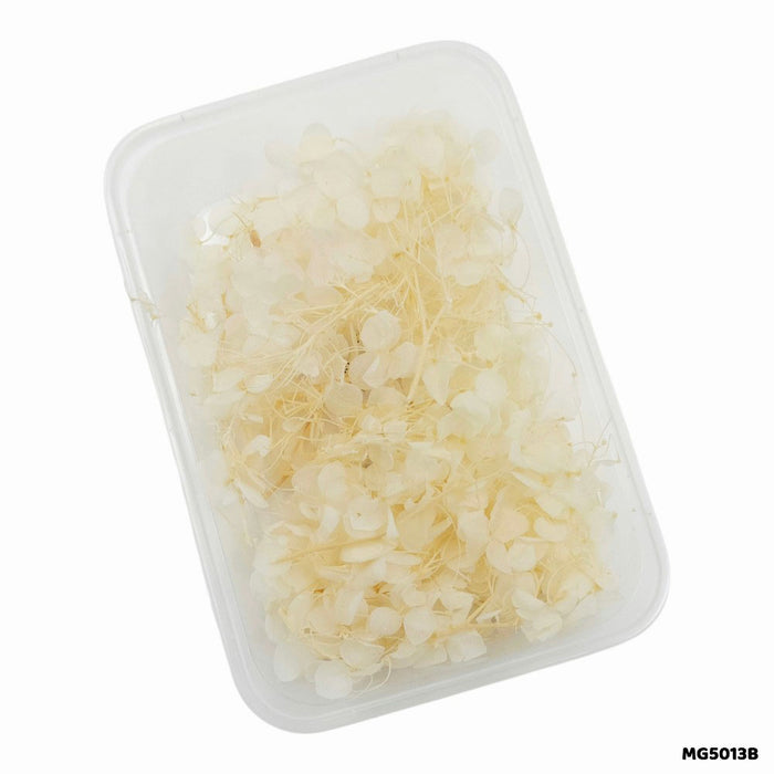 Dry Flowers Box for Resin Art & Jewellery (Design 7)