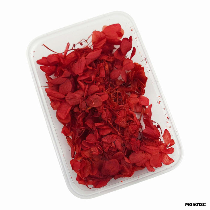 Dry Flowers Box for Resin Art & Jewellery (Design 5)