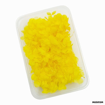 Dry Flowers Box for Resin Art & Jewellery (Design 2)