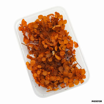 Dry Flowers Box for Resin Art & Jewellery (Design 1)