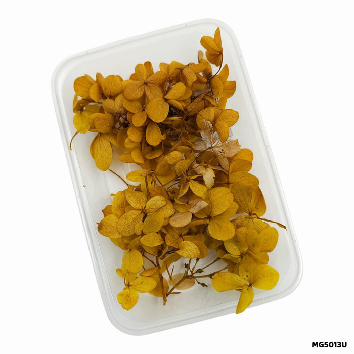 Dry Flowers Box for Resin Art & Jewellery (Design 4)