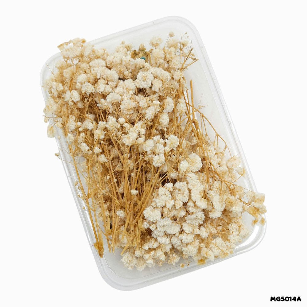Dry Flowers Box for Resin Art & Jewellery (Design 10)