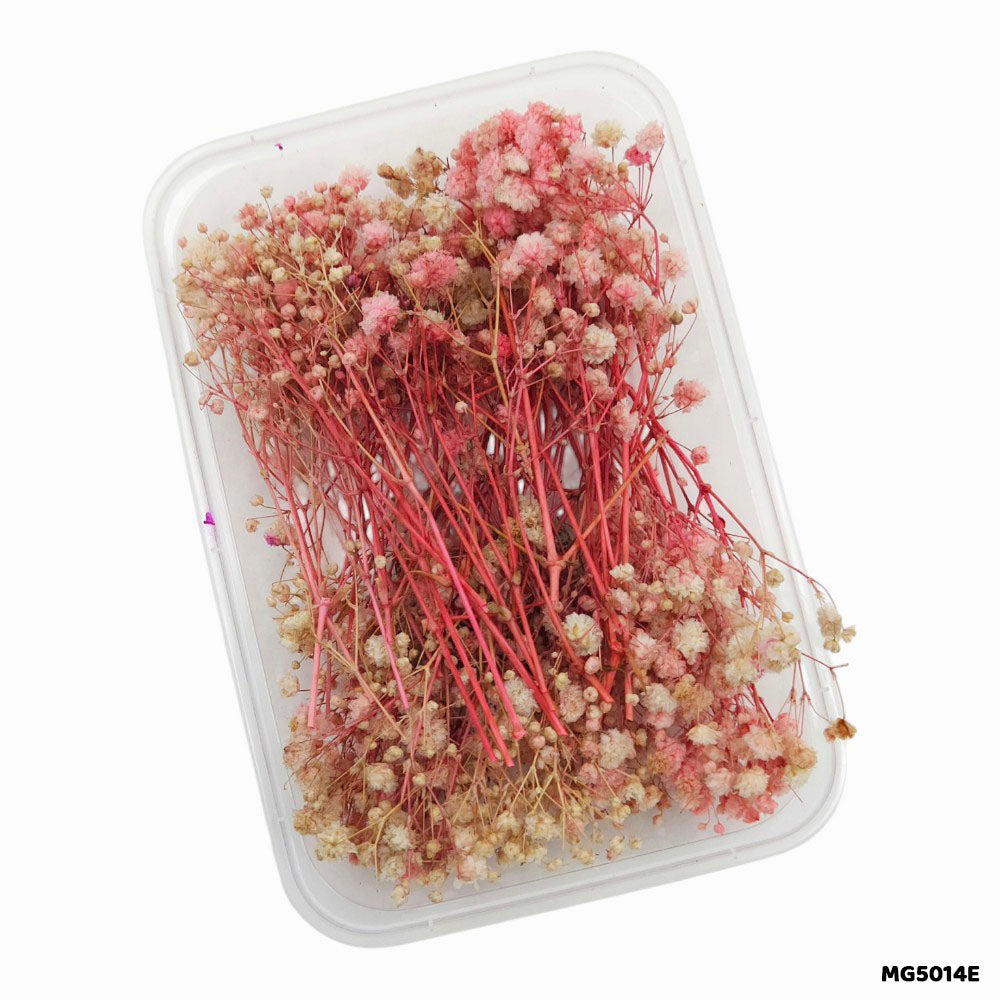 Dry Flowers Box for Resin Art & Jewellery (Design 8)