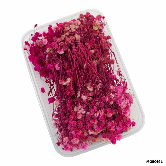 Dry Flowers Box for Resin Art & Jewellery (Design 9)