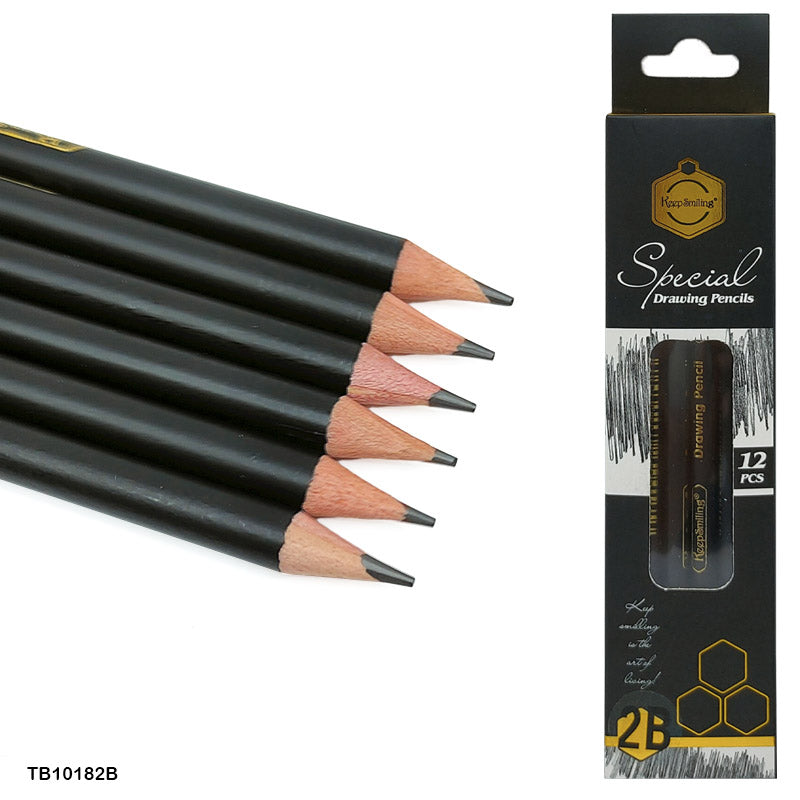 2B Special Drawing Pencils - Pack of 12 for Sketching