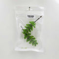 Tree Miniature 10cm - Pack of 2 for Diorama & Models