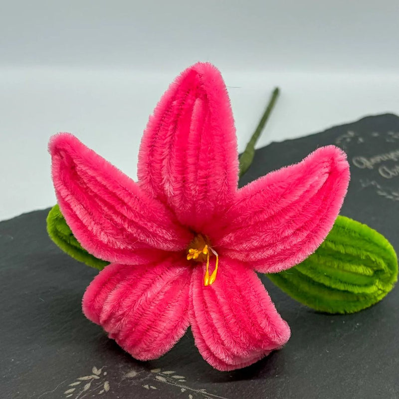 Pink Plain Pipe Cleaner for Craft and Bouquet l 100 PCS