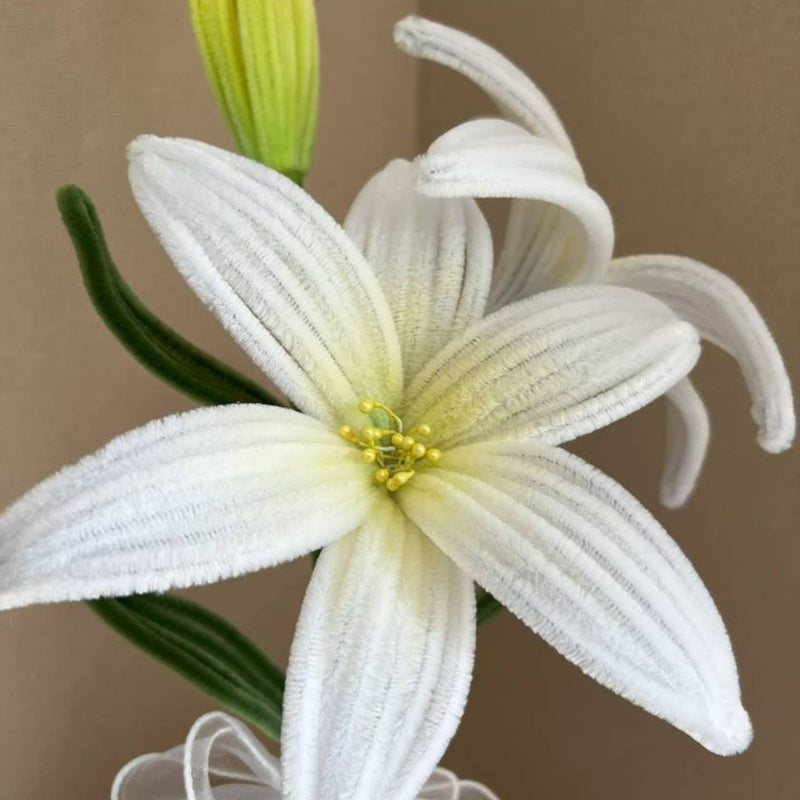 White Plain Pipe Cleaner for Craft and Bouquet l Pack of 100 pcs