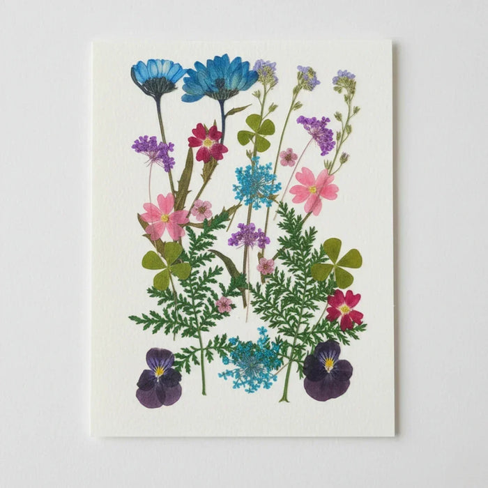 Pressed Dry Flowers for Resin Art & Crafts (Pack of 1)