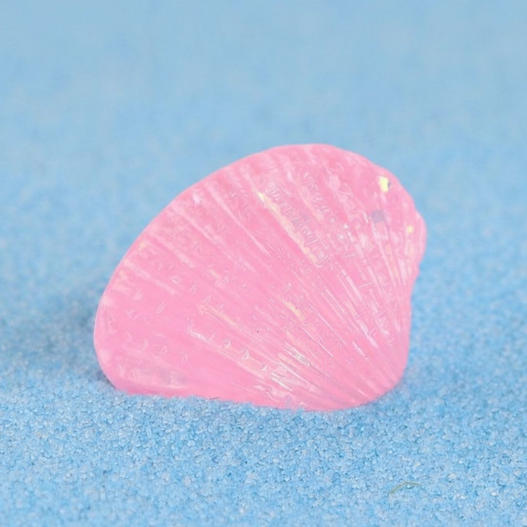 Miniature Pink Shell Decorative Model (4 Pcs) Pack of 1