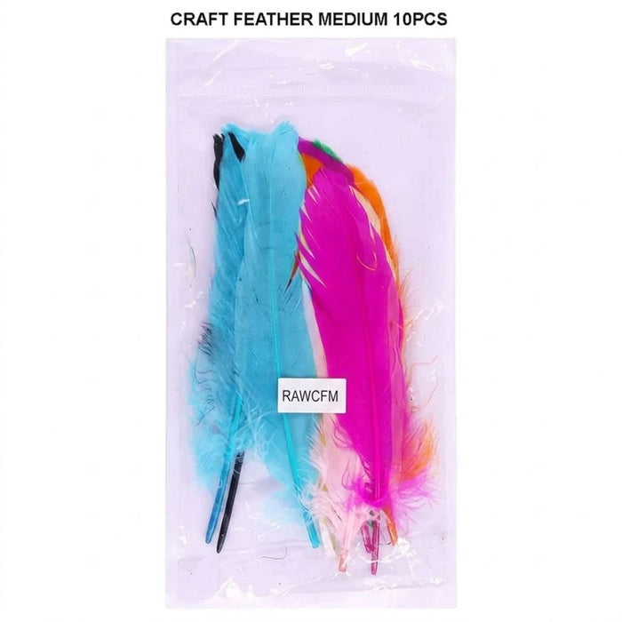 Decorative Feather Set – Aesthetic DIY Craft, Costume & Decor | Pack of 1