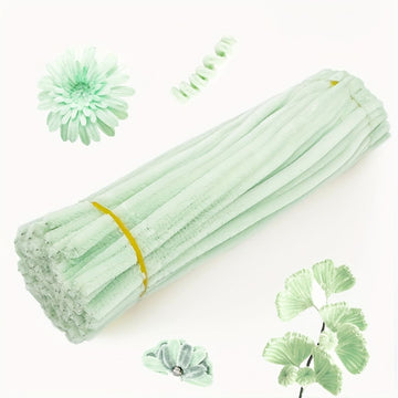 Light sage Green Plain Pipe Cleaner for Craft and Bouquet l  100Pc(Pack of 1)