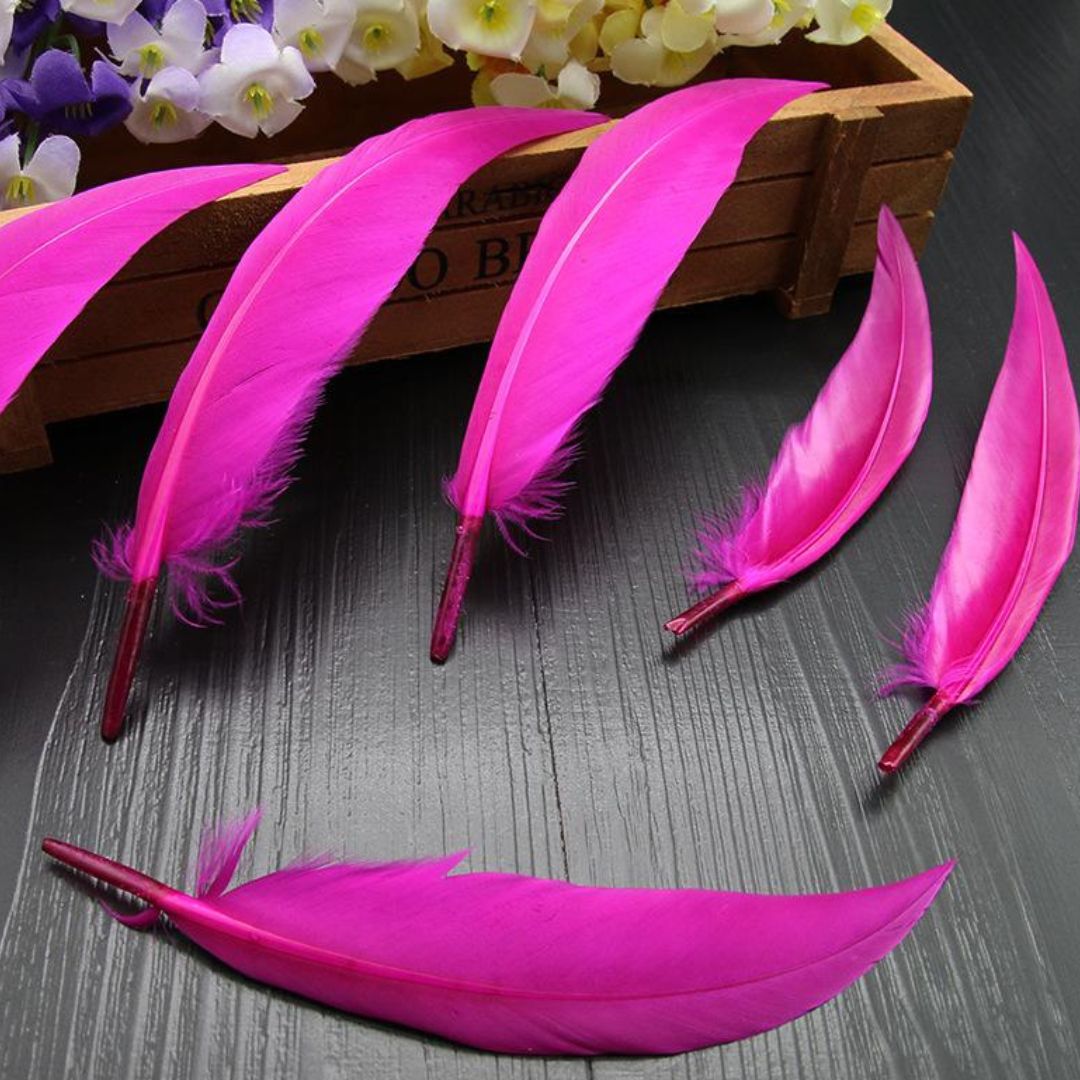 Small Hard Dark Pink Feathers for Crafts & Decoration (12pcs) pack of 1