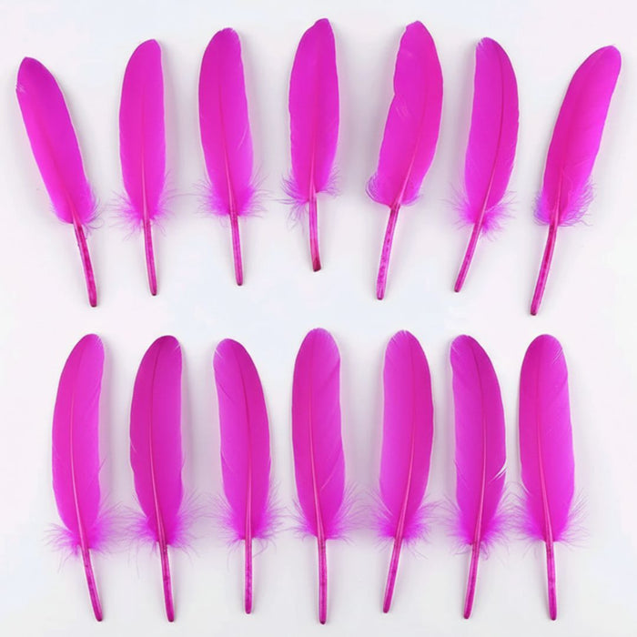 Small Hard Dark Pink Feathers for Crafts & Decoration (12pcs) pack of 1