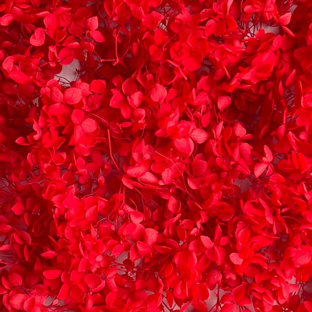 Red Dried Flower Box 10gsm | For Craft, Candle & Resin Art l Pack of 1