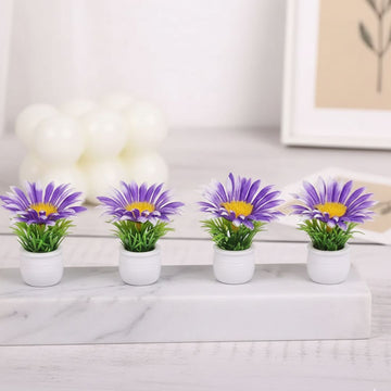 Miniature Purple Flower Plants (4pcs) Pack of 1