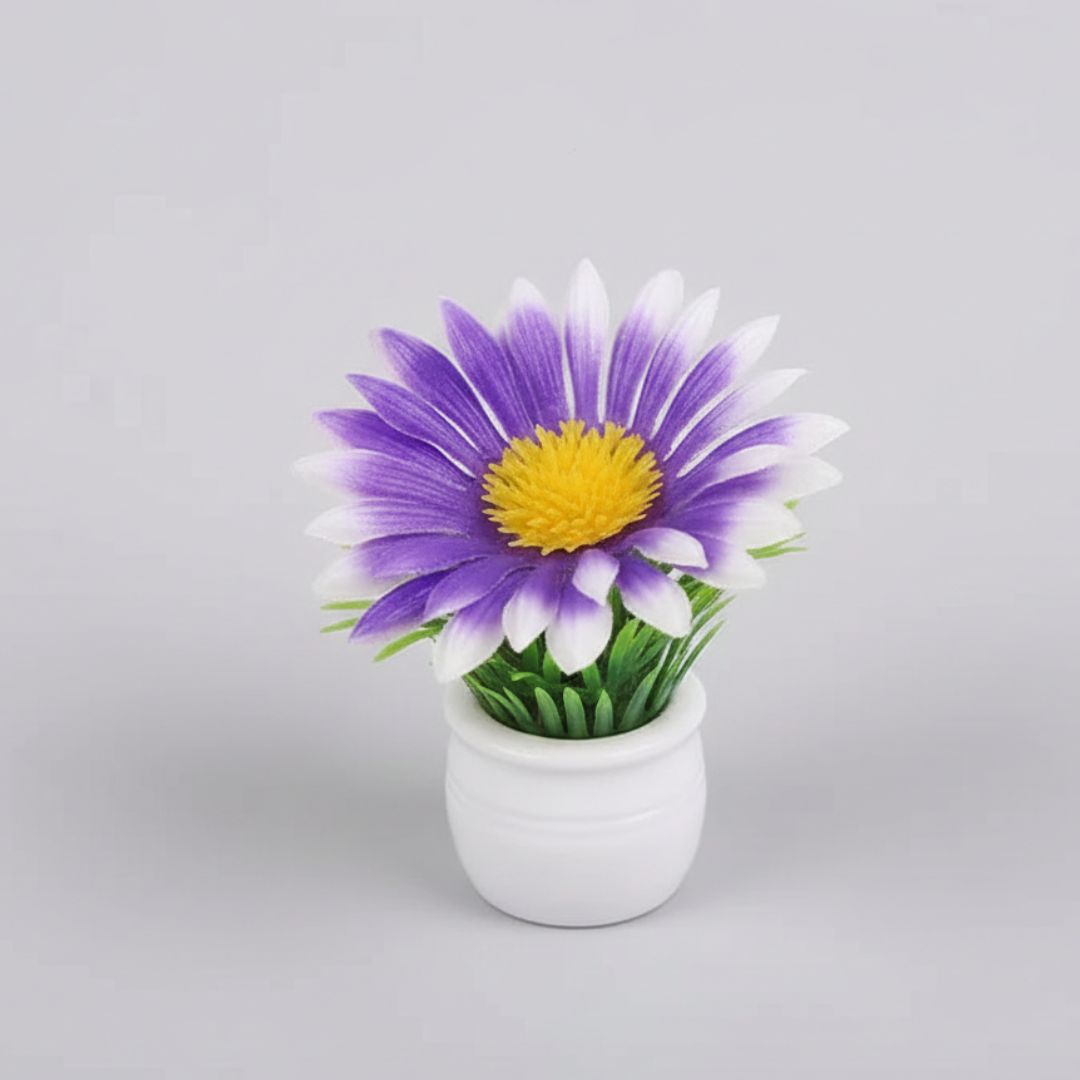 Miniature Purple Flower Plants (4pcs) Pack of 1