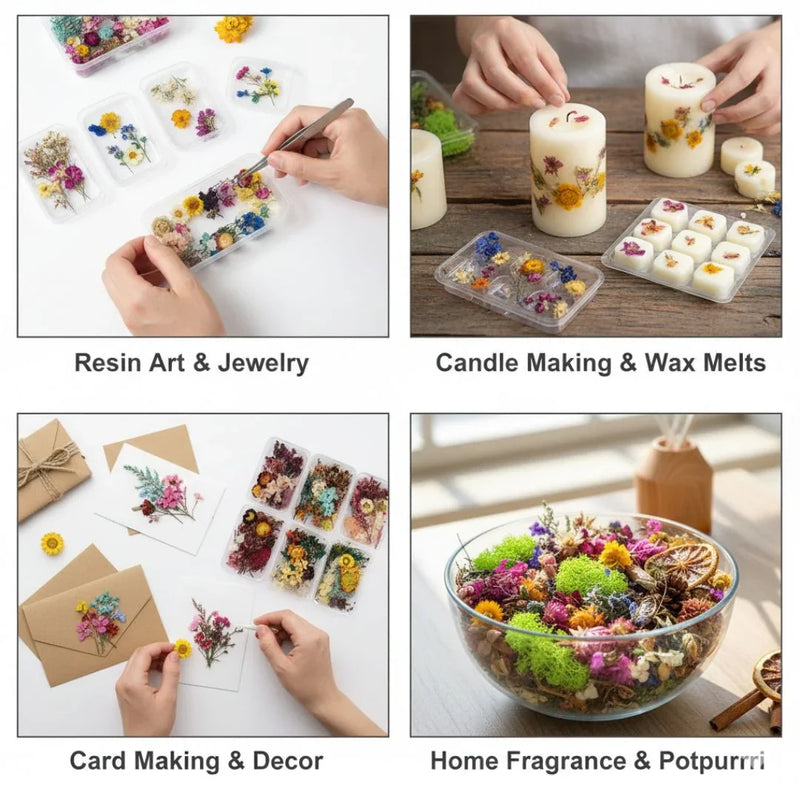 Assorted Dry Flower Box – For Resin, Journaling, Cards & Decor (1 Box)