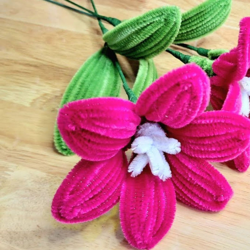 Dark Pink Pipe Cleaners for Craft & Bouquet | 100 Pc Pack