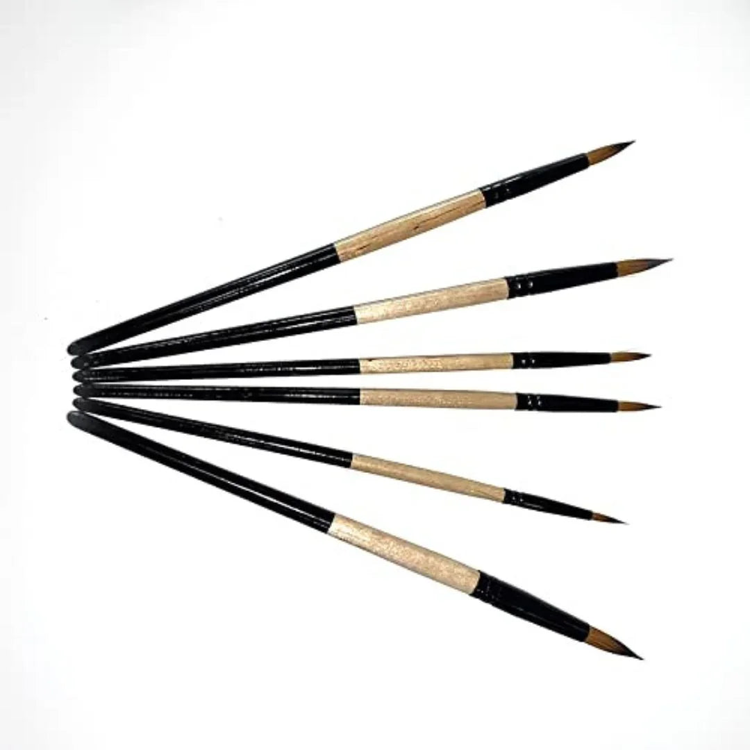 6-Piece Round Paint Brush Set with Handle | Artist Brush Set (pack of 1)