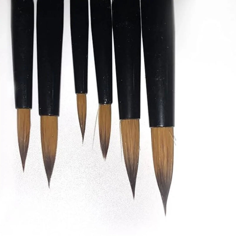 6-Piece Round Paint Brush Set with Handle | Artist Brush Set (pack of 1)