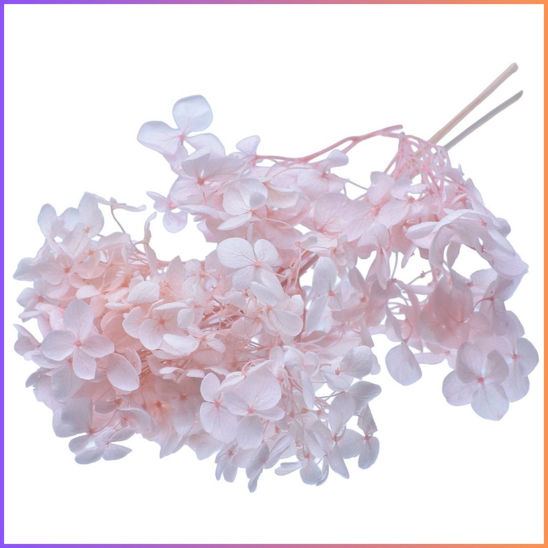 Dried Flower Box 10Gsm Pitch