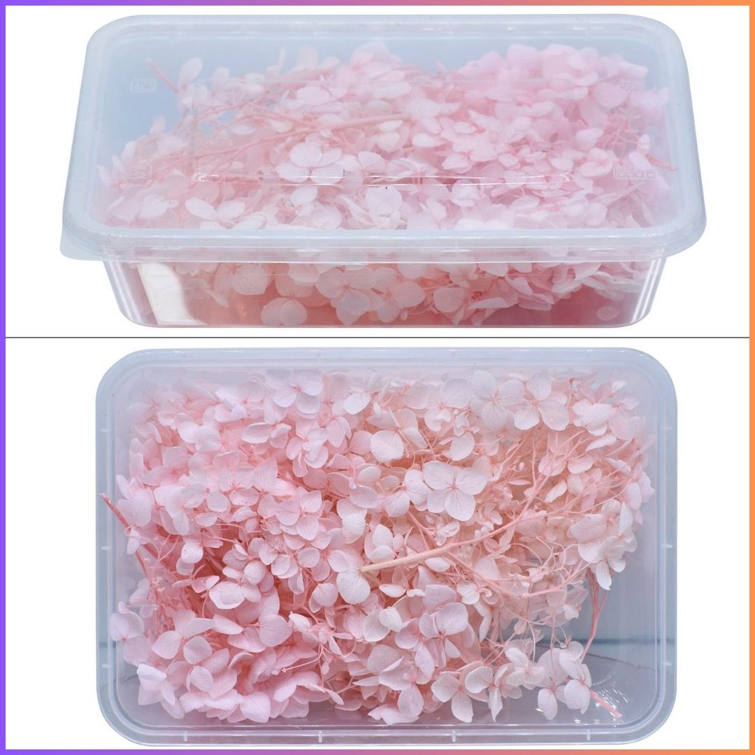 Dried Flower Box 10Gsm Pitch