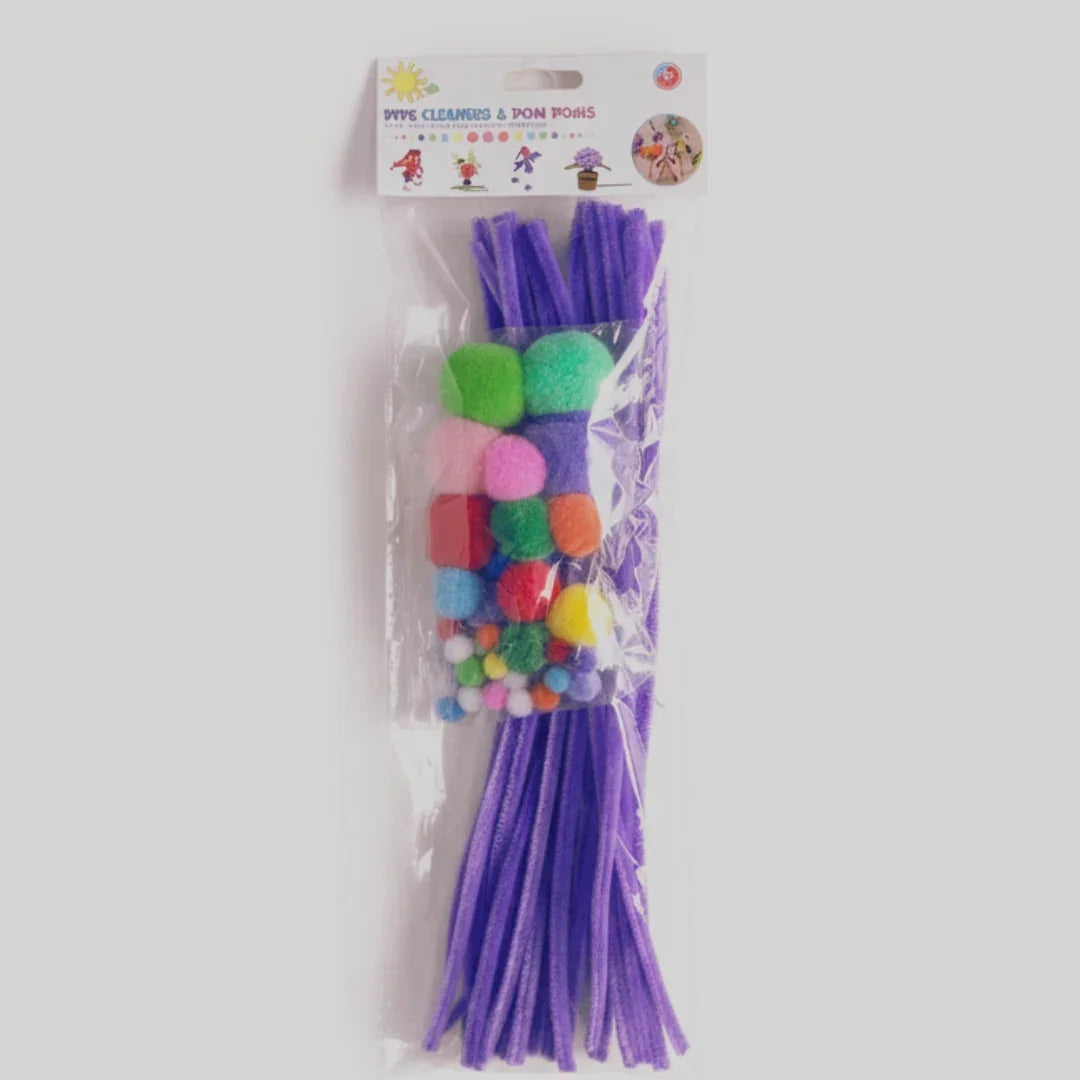 DIY Craft Set Pipe Cleaners + Pom Poms (Pack of 1)