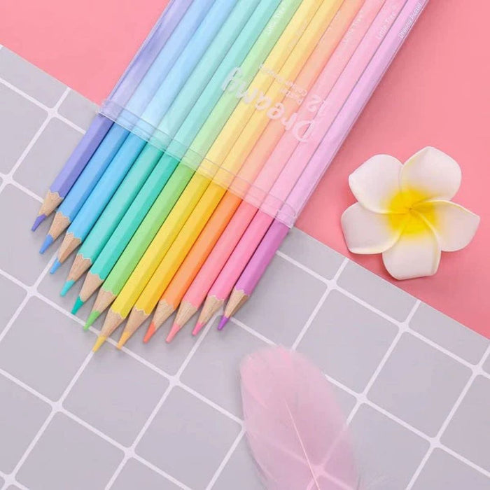 Pastel Color Pencils Set Of 12 Pencils | Pack of 1