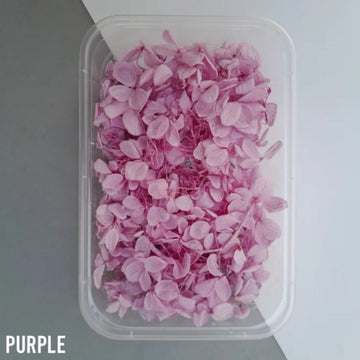Purple Dried Flower Box 10gsm | DIY Crafts, Resin Art & Decor l Pack of 1